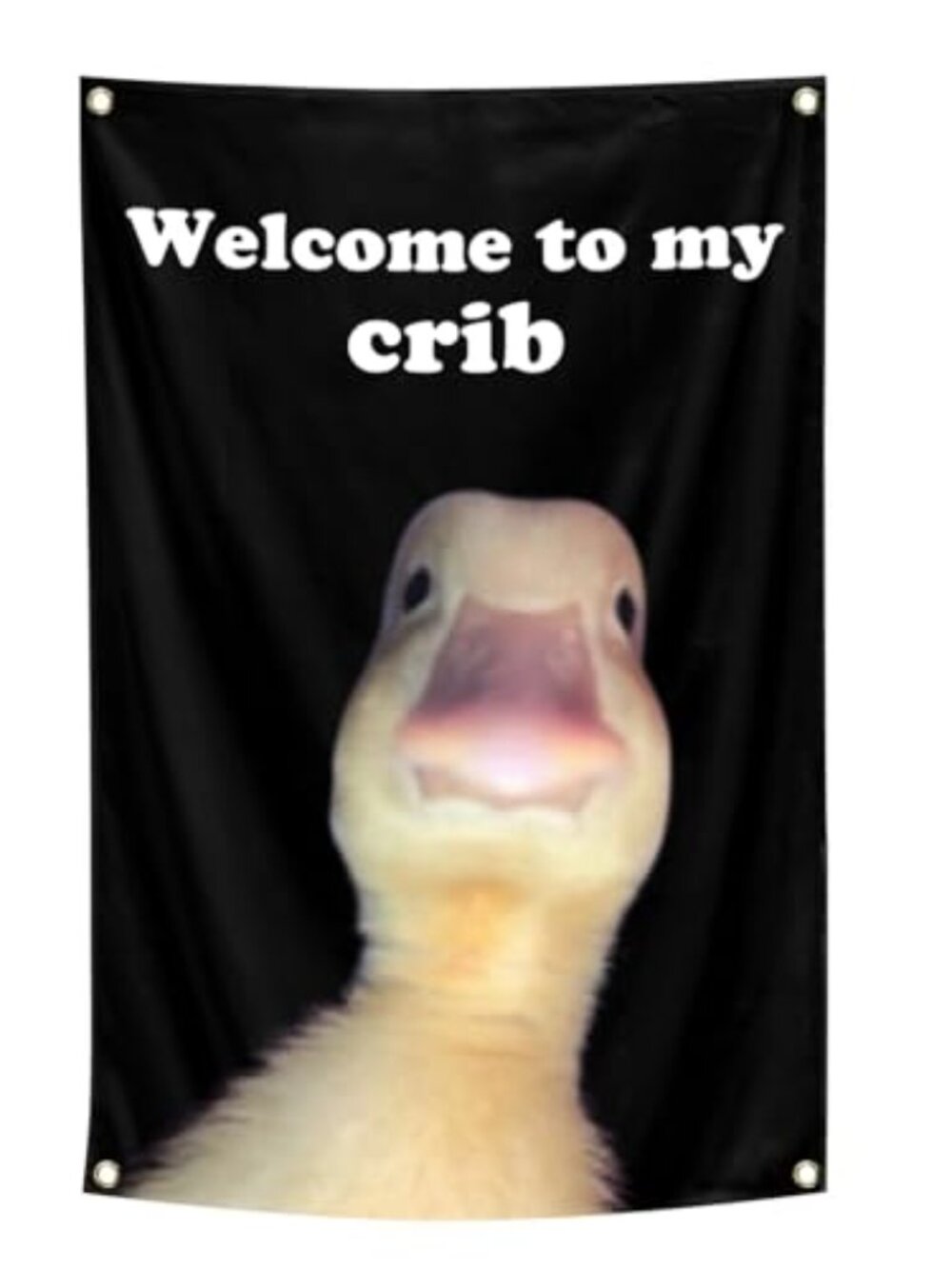 Welcome To My Crib Flag Funny Duck Tapestry 2x3Ft Indoor Outdoor Wall Art